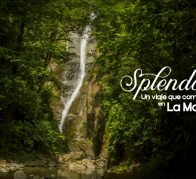 Splendor: Un viaje que comienza en La Maná 