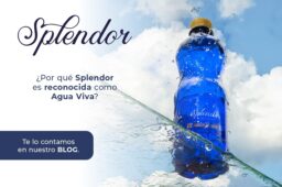  ¿Por qué Splendor es reconocida como Agua Viva? 