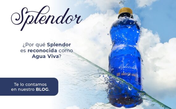  ¿Por qué Splendor es reconocida como Agua Viva? 