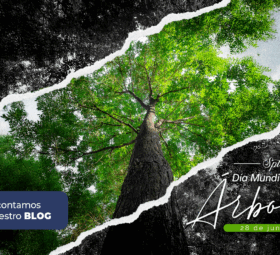 Día del Árbol: el ciclo empieza con una gota 