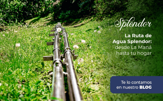 La Ruta de Agua Splendor: desde La Maná hasta tu hogar 