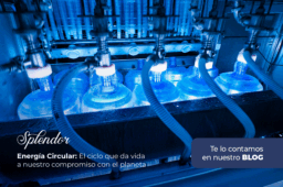 Energía Circular: El ciclo que da vida a nuestro compromiso con el planeta 