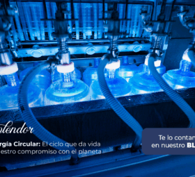 Energía Circular: El ciclo que da vida a nuestro compromiso con el planeta 