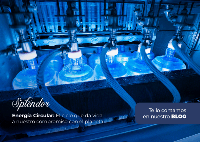 Energía Circular: El ciclo que da vida a nuestro compromiso con el planeta 
