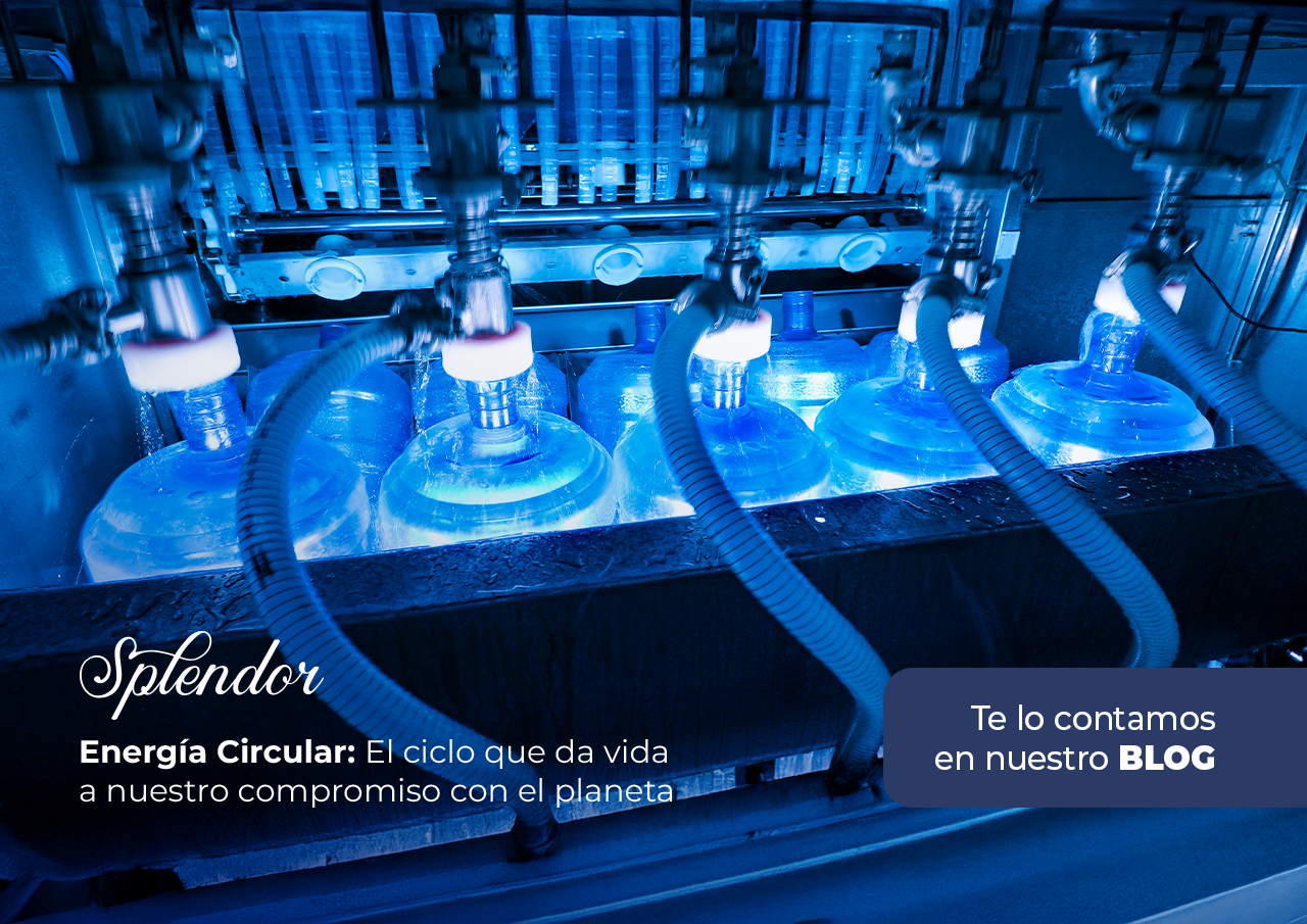 Energía Circular: El ciclo que da vida a nuestro compromiso con el planeta 