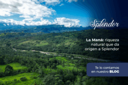 La Maná: riqueza natural que da origen a Splendor 