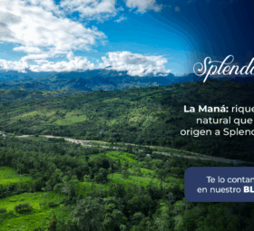 La Maná: riqueza natural que da origen a Splendor 