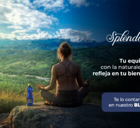Tu equilibrio con la naturaleza se refleja en tu bienestar 