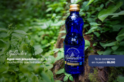 Splendor: Agua con propósito  