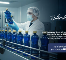 Las Buenas Prácticas de Manufactura (BPM): cuando la pureza se construye desde dentro