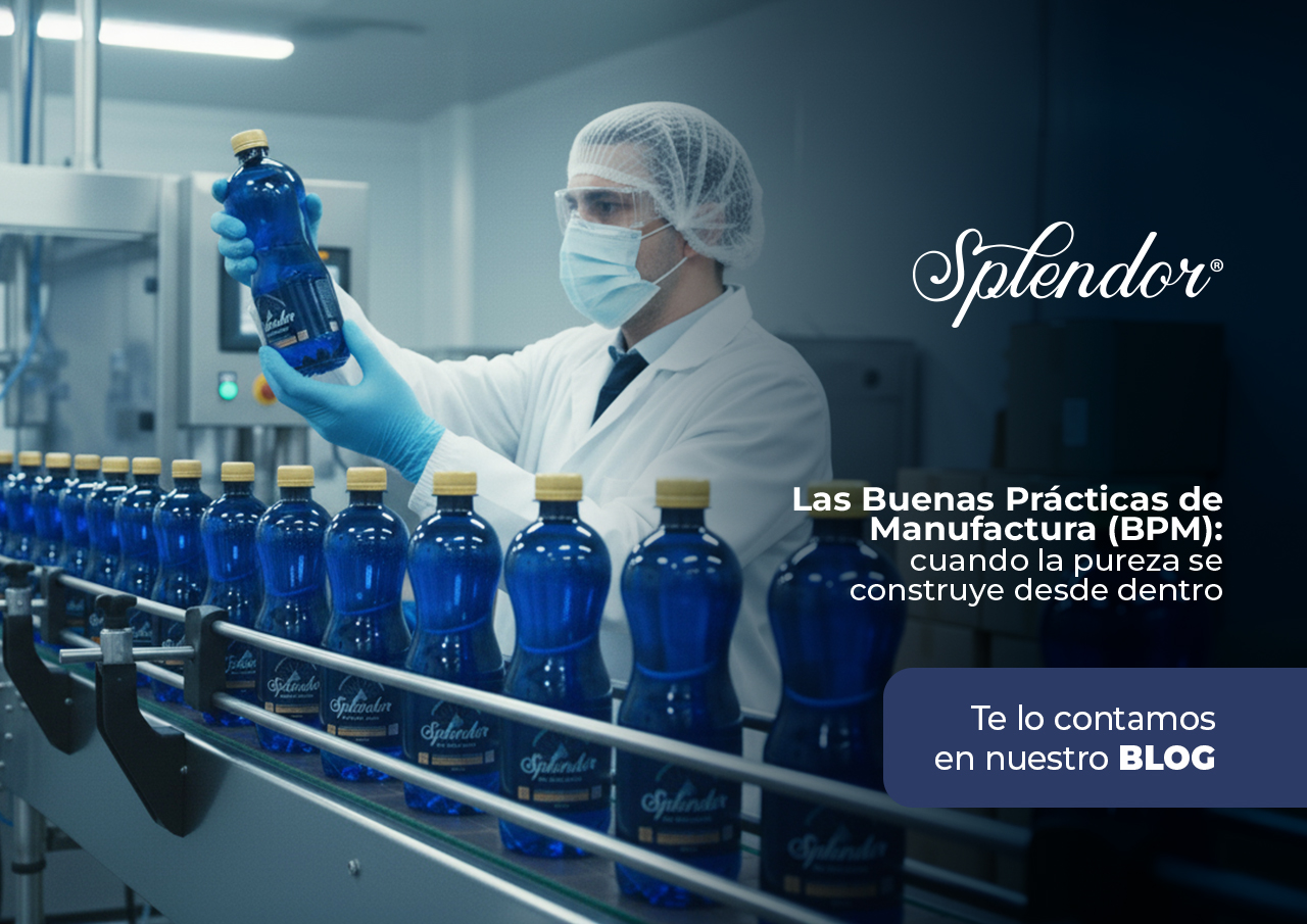 Las Buenas Prácticas de Manufactura (BPM): cuando la pureza se construye desde dentro