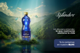 Día Mundial del Agua: Un día para entender, lo que realmente sostiene la vida. 