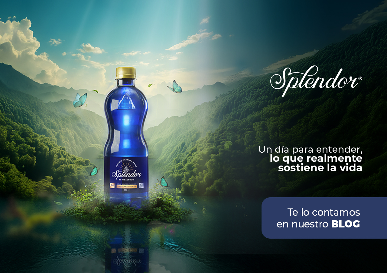 Día Mundial del Agua: Un día para entender, lo que realmente sostiene la vida. 