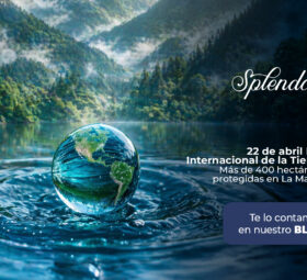 22 de abril día Internacional de la Tierra: Más de 400 hectáreas protegidas en La Maná. 
