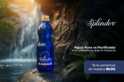 Agua pura vs. purificada: una diferencia que sí importa