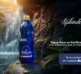 Agua pura vs. purificada: una diferencia que sí importa