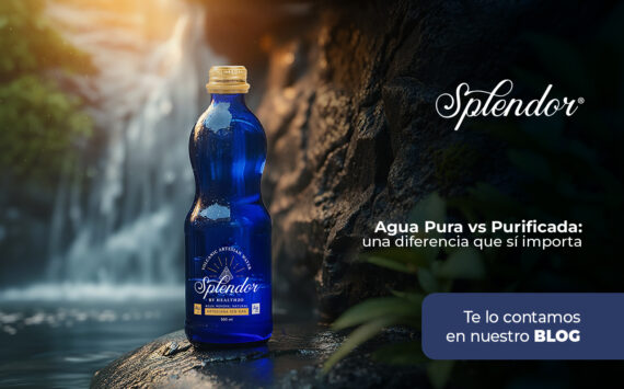 Agua pura vs. purificada: una diferencia que sí importa